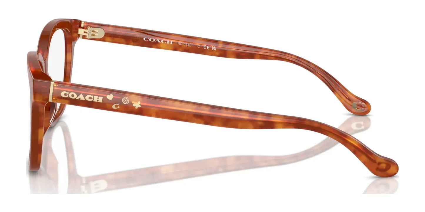 Coach HC6242F Eyeglasses | Size 56