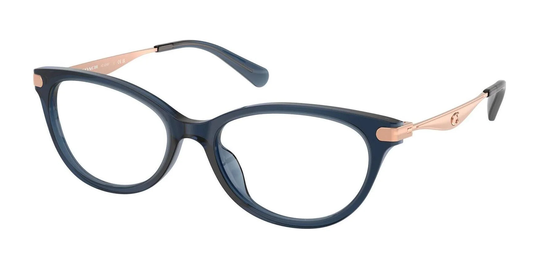 Coach HC6245F Eyeglasses Transparent Blue