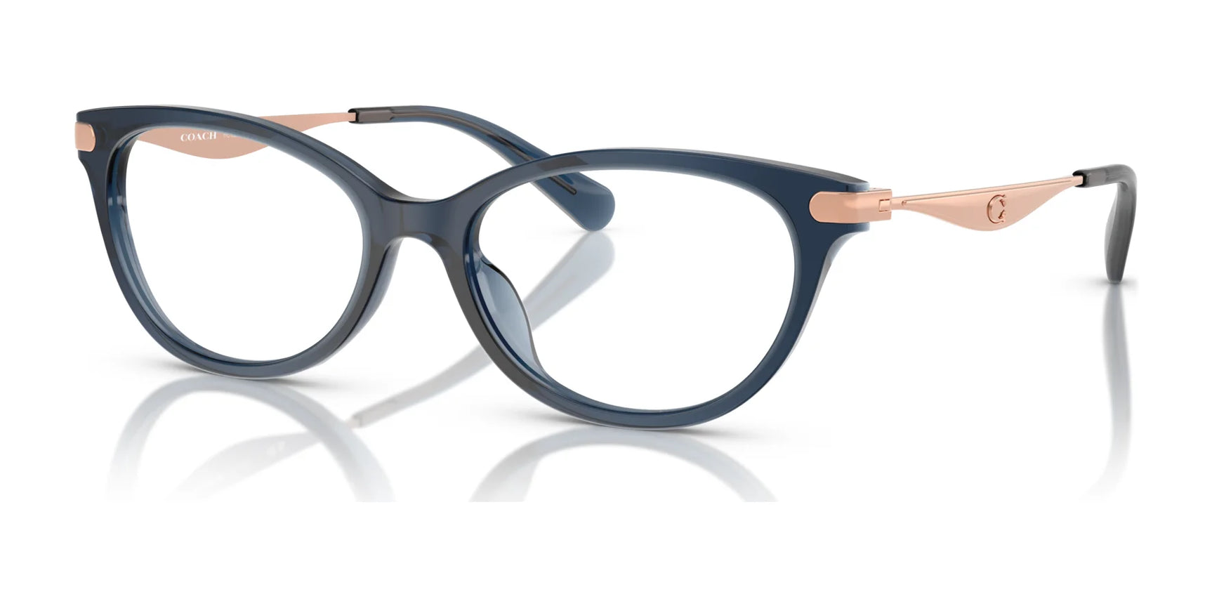 Coach HC6245F Eyeglasses | Size 55