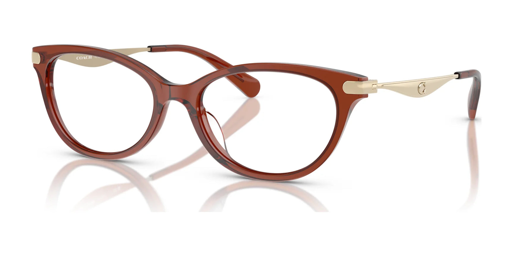 Coach HC6245F Eyeglasses Transparent Brown