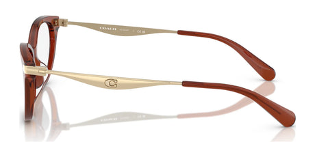 Coach HC6245F Eyeglasses | Size 55