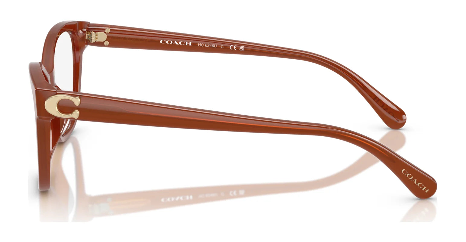 Coach HC6246U Eyeglasses | Size 53