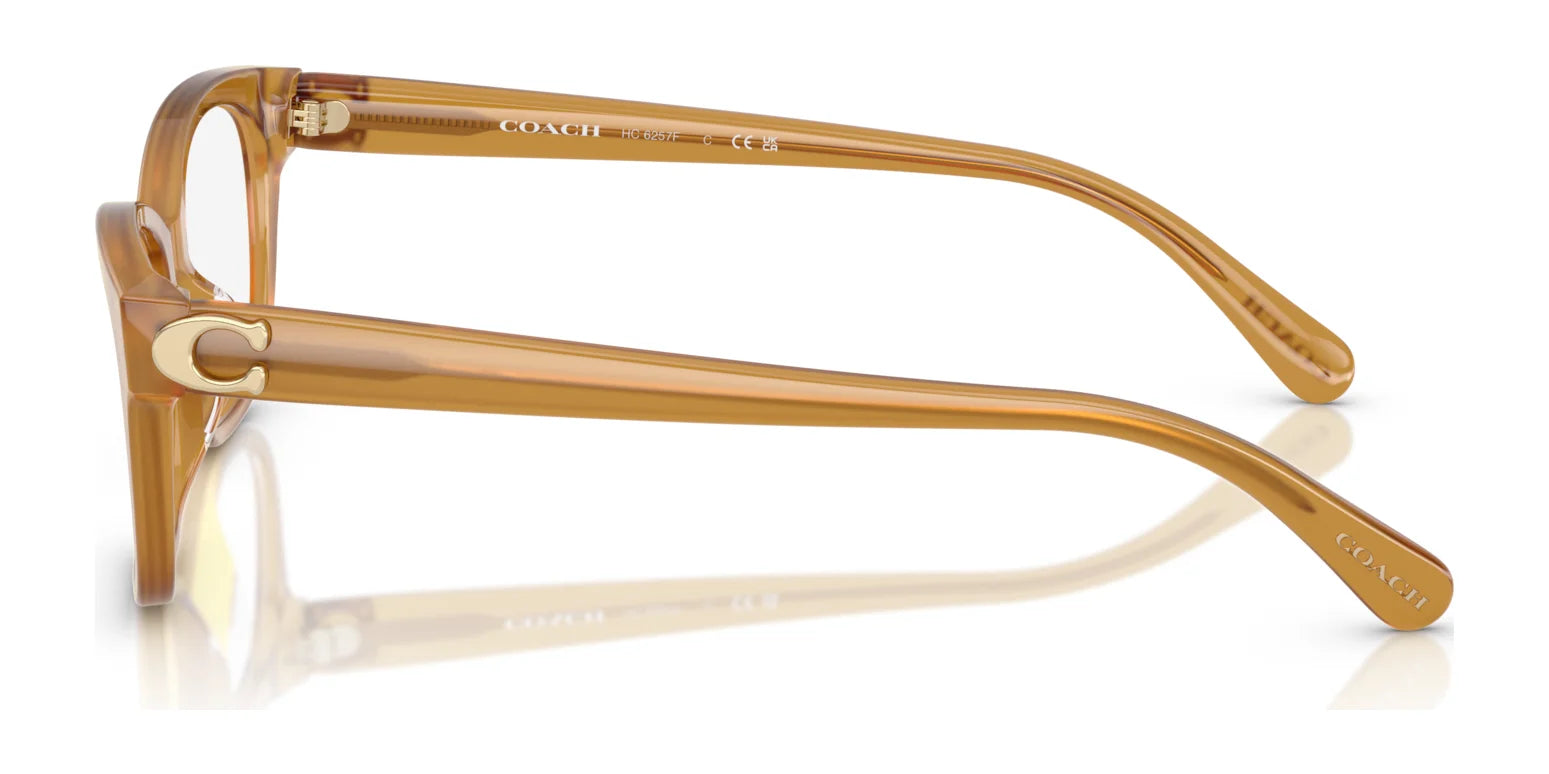 Coach HC6257F Eyeglasses | Size 55