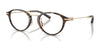 Coach HC6268D Eyeglasses | Size 48 / Dark Tortoise №5120