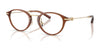 Coach HC6268D Eyeglasses | Size 48 / Transparent Brown №5888