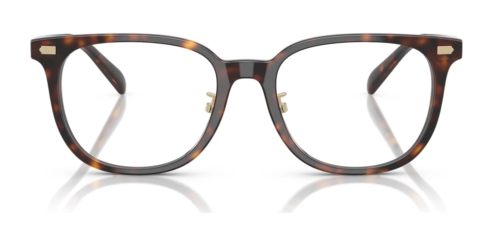 Coach HC6269D Eyeglasses | Size 53