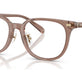 Transparent Light Brown №5819