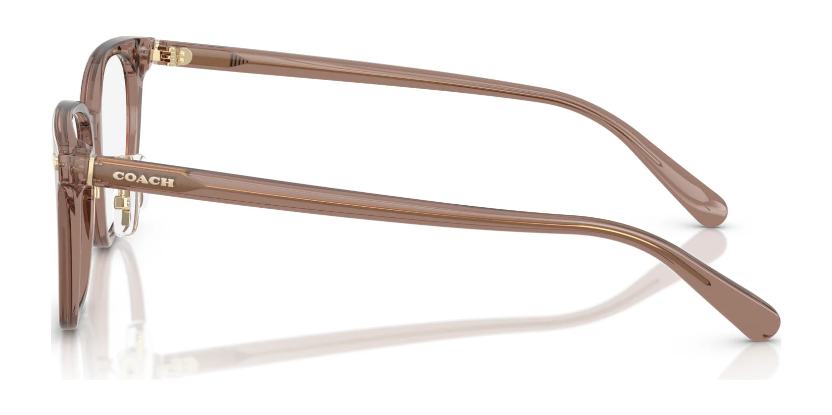 Coach HC6269D Eyeglasses | Size 53