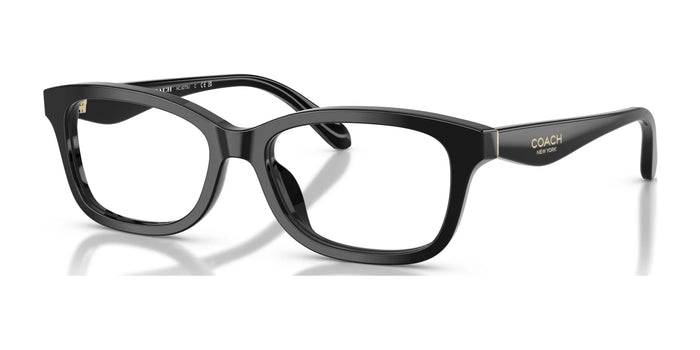 Coach HC6275U Eyeglasses / Black №5002 / Size 49