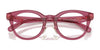 Coach HC6280D Eyeglasses | Size 48 / Dark Tortoise №5120