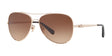 Coach L1648 HC7074 Sunglasses Light Gold / Brown Gradient
