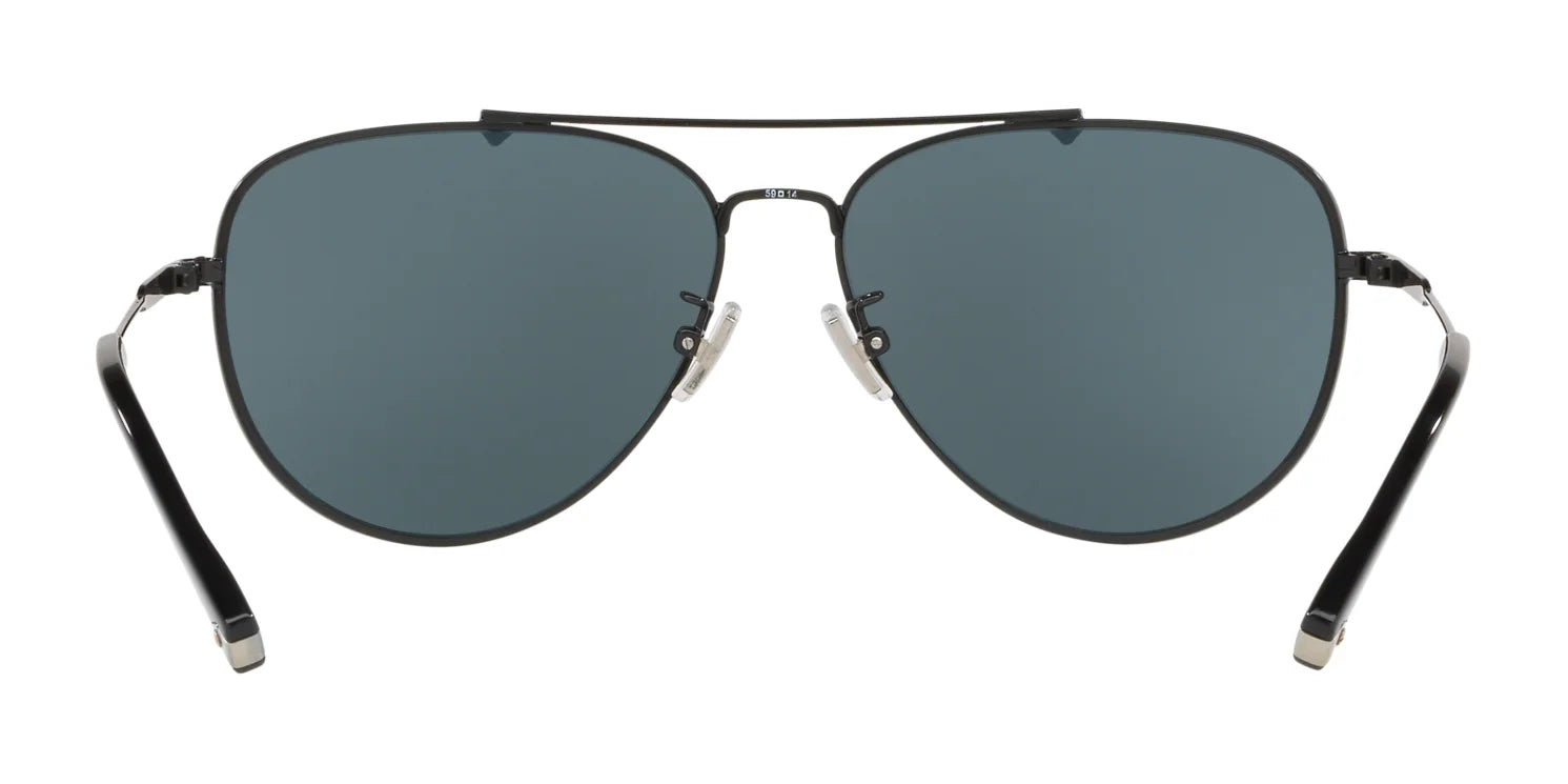 Coach L1053 HC7087 Sunglasses | Size 59