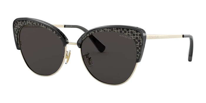Coach L1112 HC7110 Sunglasses | Size 55 / Black / Light Gold №556687 / Dark Grey (3N 9.9%)