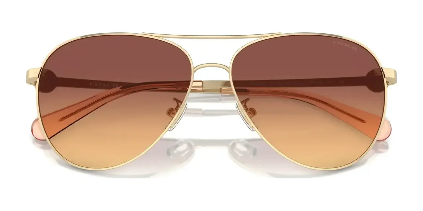 Coach C6178 HC7128 Sunglasses | Size 58