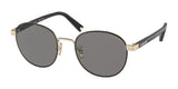 Coach C6195 HC7131 Sunglasses Light Gold / Black / Dark Grey (Polarized)