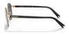 Coach C6195 HC7131 Sunglasses | Size 50 / Light Gold/Black №900587 / Dark Grey Solid (3N 9.9%)