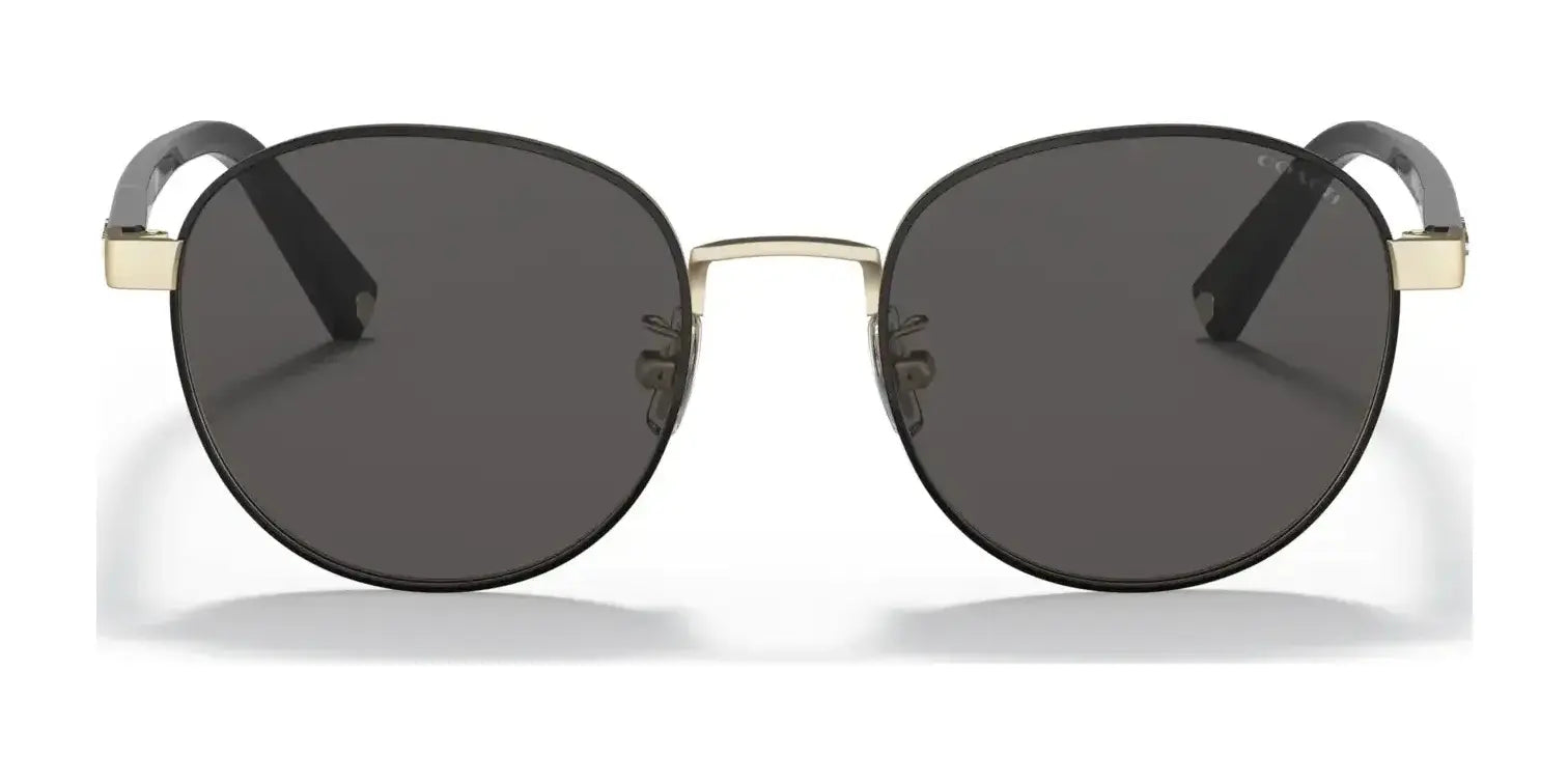 Coach C6195 HC7131 Sunglasses | Size 50