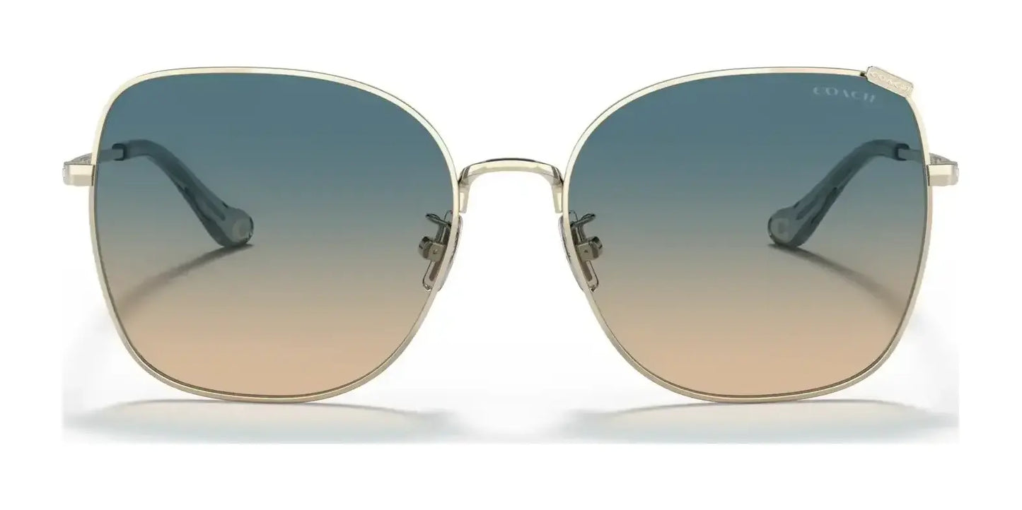 Coach C7997 HC7133 Sunglasses | Size 57