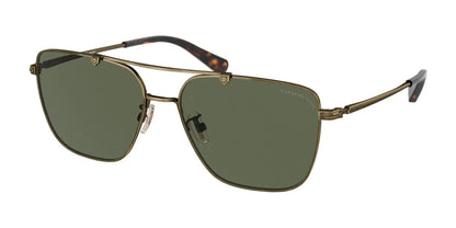 Coach C8004 HC7137 Sunglasses Antique Gold / Dark Green Polar