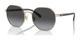 Coach CH556 HC7147 Sunglasses Shiny Light Gold / Grey Gradient