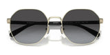 Coach CH556 HC7147 Sunglasses | Size 56