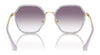 Coach CS543 HC7167B Sunglasses | Size 56 / Rose Gold / Brown Pink Gradient (2N 32.7%) №944413