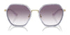 Coach CS543 HC7167B Sunglasses | Size 56 / Rose Gold / Brown Pink Gradient (2N 32.7%) №944413