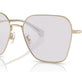 Grey chromatic (Photochromic) (3F 11%) №9005ZQ