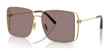 Coach CW429 HC7174D Sunglasses Shiny Gold / Mauve Solid