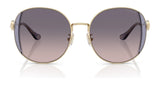 Coach CAD73 HC7176B Sunglasses | Size 54