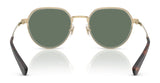 Coach CAE81 HC7179 Sunglasses | Size 52