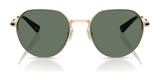 Coach CAE81 HC7179 Sunglasses | Size 52