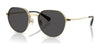 Coach CAE81 HC7179 Sunglasses | Size 52 / Shiny Light Gold / Grey Solid (0N 87.1%) №900587