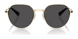 Coach CAE81 HC7179 Sunglasses | Size 52