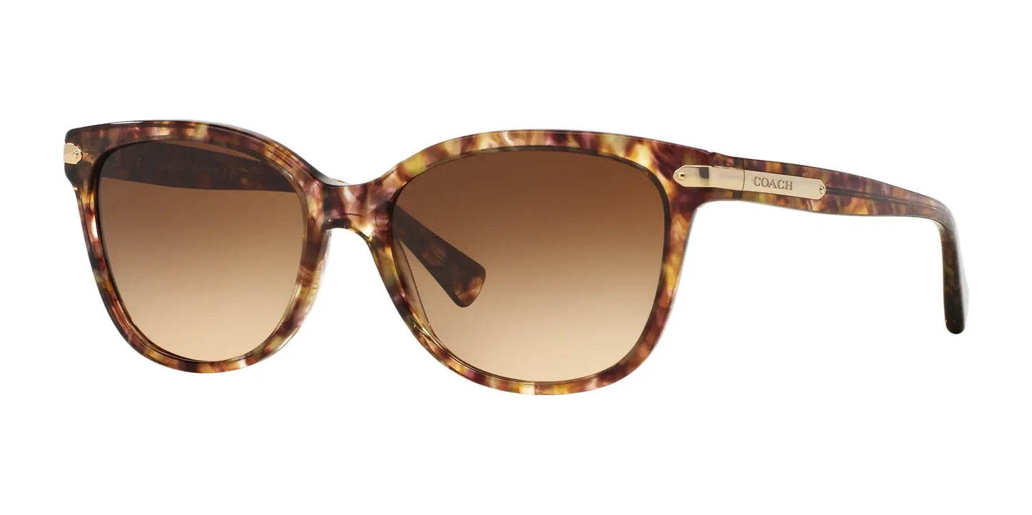 Coach L109 HC8132 Sunglasses Tortoise / Brown Gradient