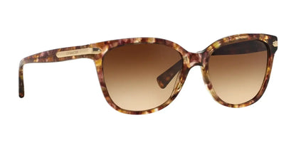 Coach L109 HC8132 Sunglasses | Size 57