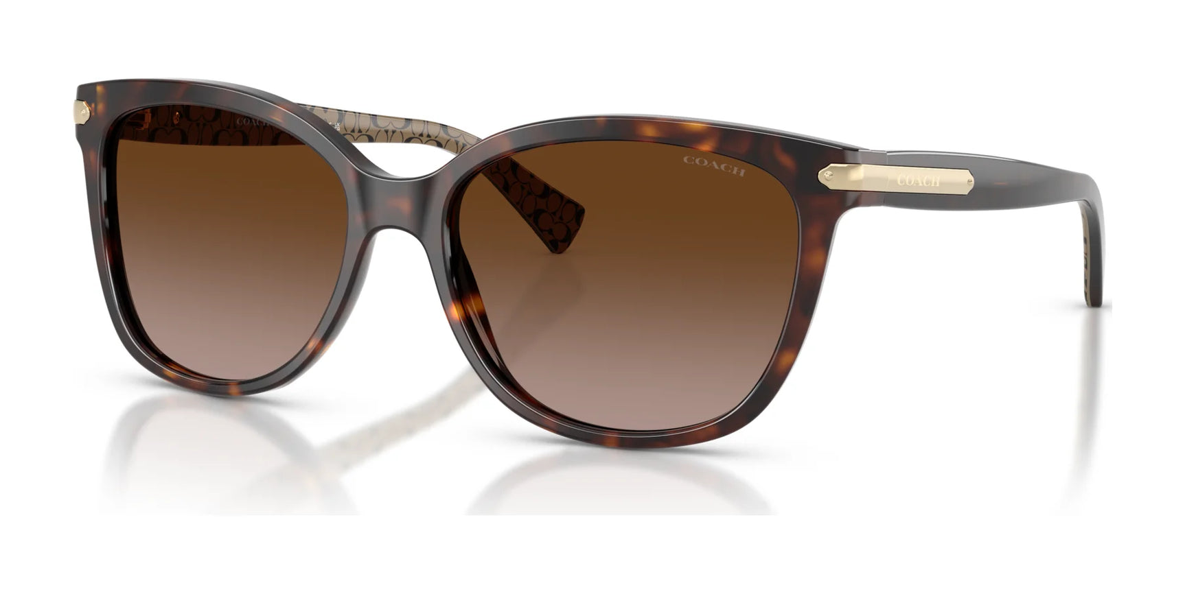 Coach L109 HC8132 Sunglasses Dark Tortoise / Dark Brown Gradient