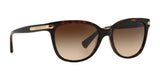 Coach L109 HC8132 Sunglasses | Size 57