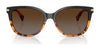 Coach L109 HC8132 Sunglasses | Size 57 / Dark Tortoise / Dark Brown Gradient (3N 14.2%) №529113