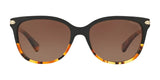 Coach L109 HC8132 Sunglasses | Size 57