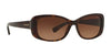 Coach L156 HC8168 Sunglasses | Size 56 / Black / Grey Gradient (3N 13%) №534811