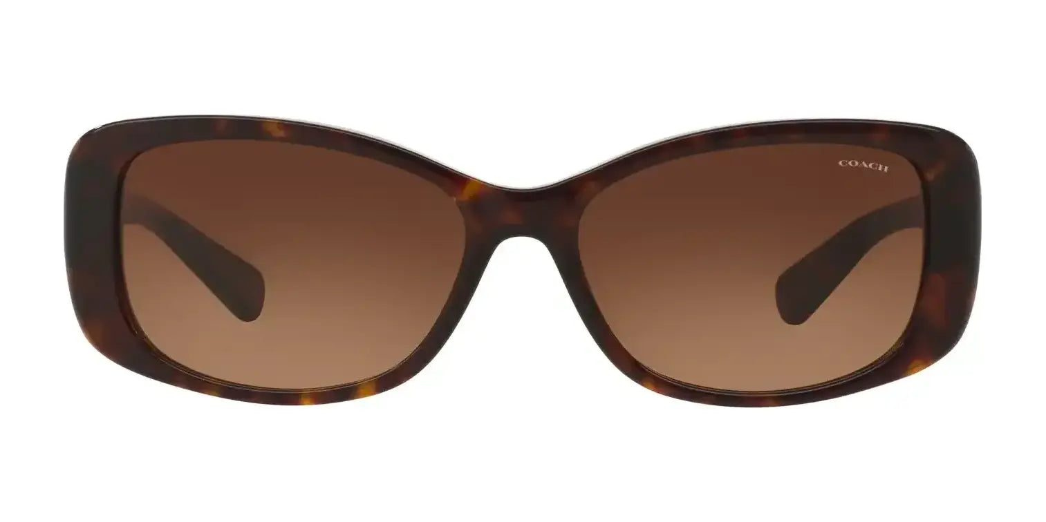 Coach L156 HC8168 Sunglasses | Size 56