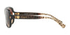 Coach L149 HC8169 Sunglasses | Size 57 / Black / Brown Gradient (3N 13.6%) №535313