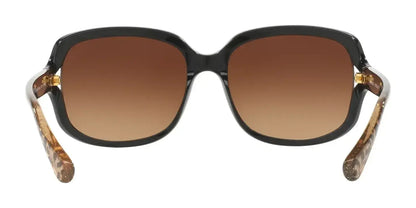 Coach L149 HC8169 Sunglasses | Size 57