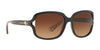 Coach L149 HC8169 Sunglasses | Size 57 / Black / Brown Gradient (3N 13.6%) №535313