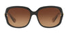 Coach L149 HC8169 Sunglasses | Size 57 / Black / Brown Gradient (3N 13.6%) №535313