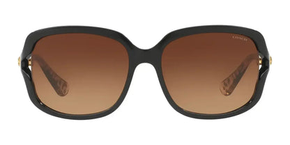 Coach L149 HC8169 Sunglasses | Size 57