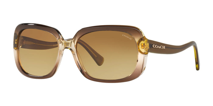 Coach L1591 HC8178 Sunglasses | Size 57 / Olive Brown Gradient / Olive №54002L / Amber Gradient (2N 31.6%)