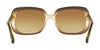 Coach L1591 HC8178 Sunglasses | Size 57 / Olive Brown Gradient/Olive №54002L / Amber Gradient (2N 31.6%)