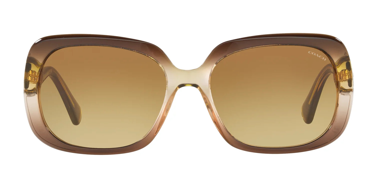 Coach L1591 HC8178 Sunglasses | Size 57